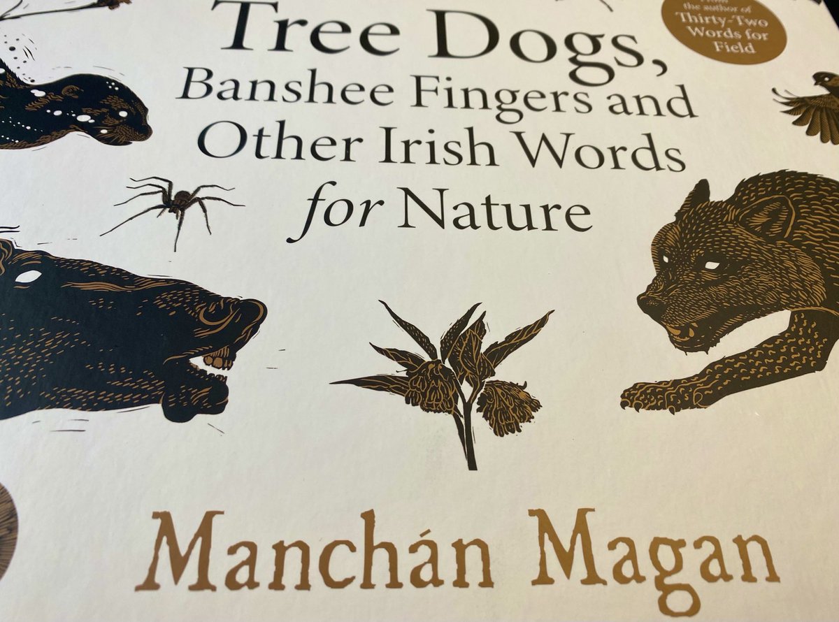 saolodheas's tweet photo. Beidh an t-údar ⁦@ManchanMagan linn ar ⁦@saolodheas inniu agus sin a ráthaíocht tríd an saothar is déanaí uaidh #treedogs ⁦@RTERnaG @Gill_Books https://t.co/ANn0KuFvFF