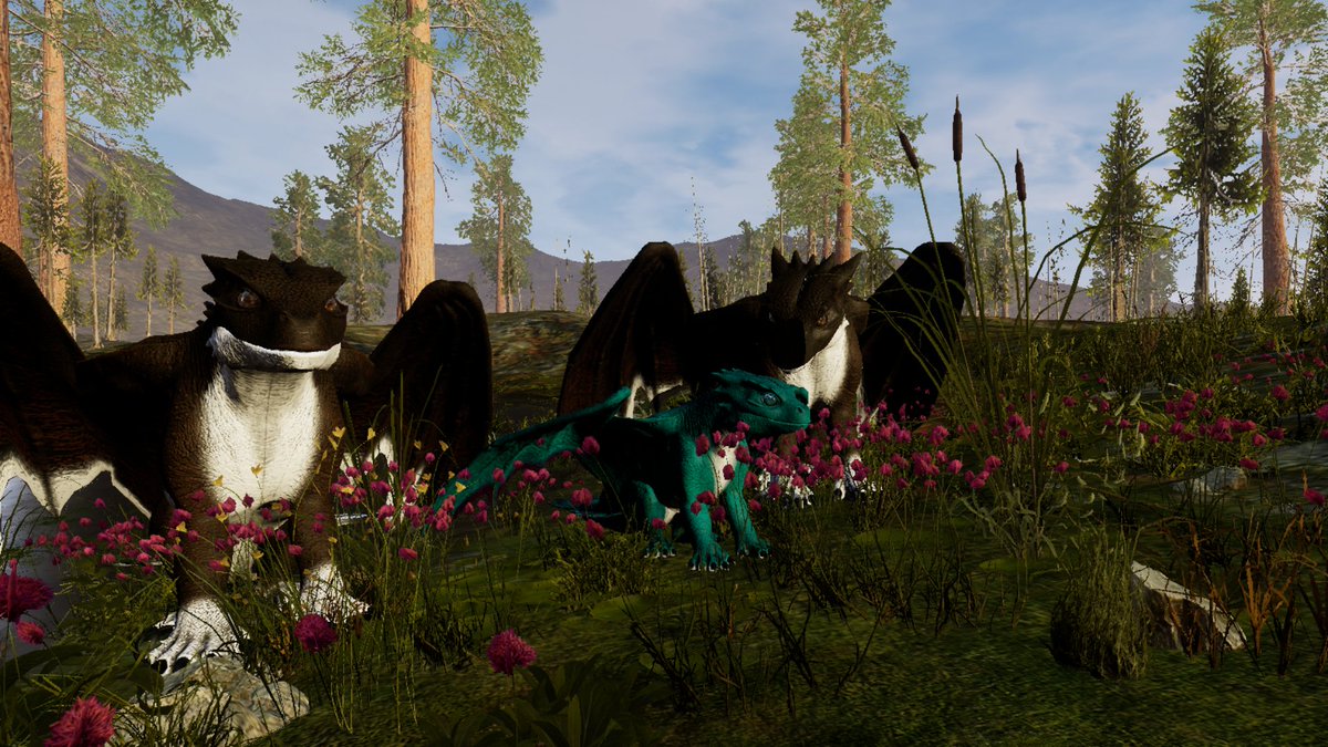 LuckyLuke2022's tweet photo. Friday's morning in best company 😌 #Dayofdragons https://t.co/N73d0wKQpW