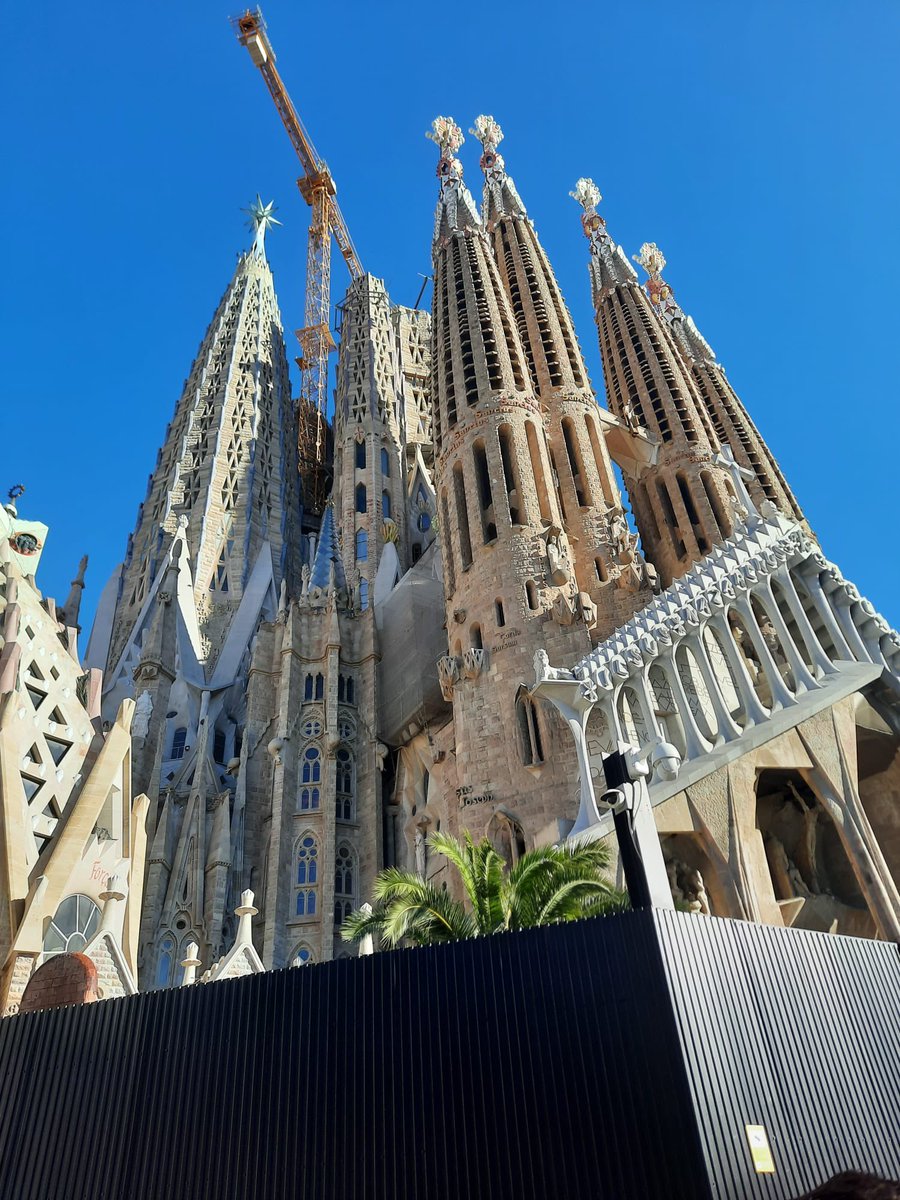 vv GOMOS tweet media