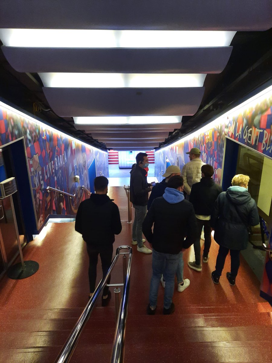 vv GOMOS tweet media