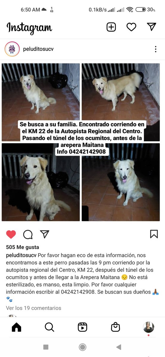 PerroUsuario Wof '•' tweet media