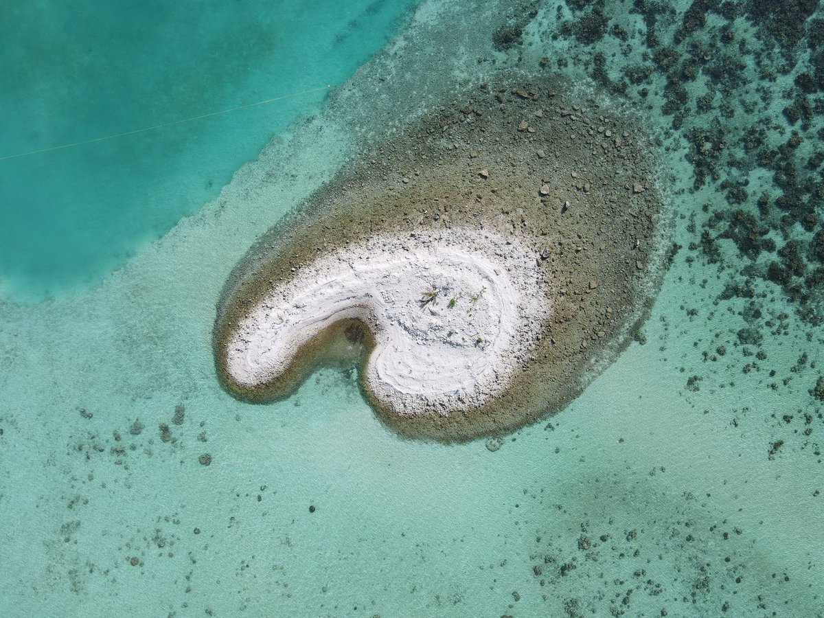 Ladies and gentlemen, may I present cock’n’balls island