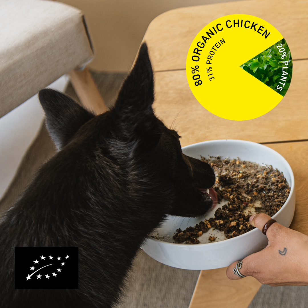 Have you tried our Organic Chicken yet? 🐓

With 80% chicken meat and liver, this lean and incredibly nutrient-dense recipe also benefits from a healthy dose non-starchy plants including sunflower seeds, parsley and chia seeds. 

Perfect for maintaining optimal weight and health.