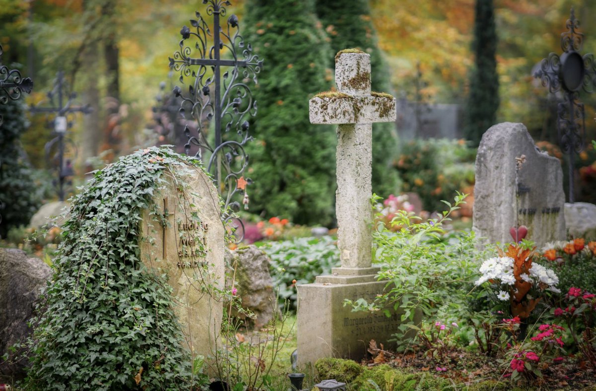 denieuwsbv's tweet image. De OV-kaart van Anneke was geblokkeerd en toen ze navraag deed bij NS, kreeg ze te horen dat iemand haar abonnement had beëindigd omdat zij zou zijn overleden. Maar @hetlevenvanann is springlevend en kon niet meer inchecken. Hoe werkt doodverklaren eigenlijk?@lucys_law legt uit.