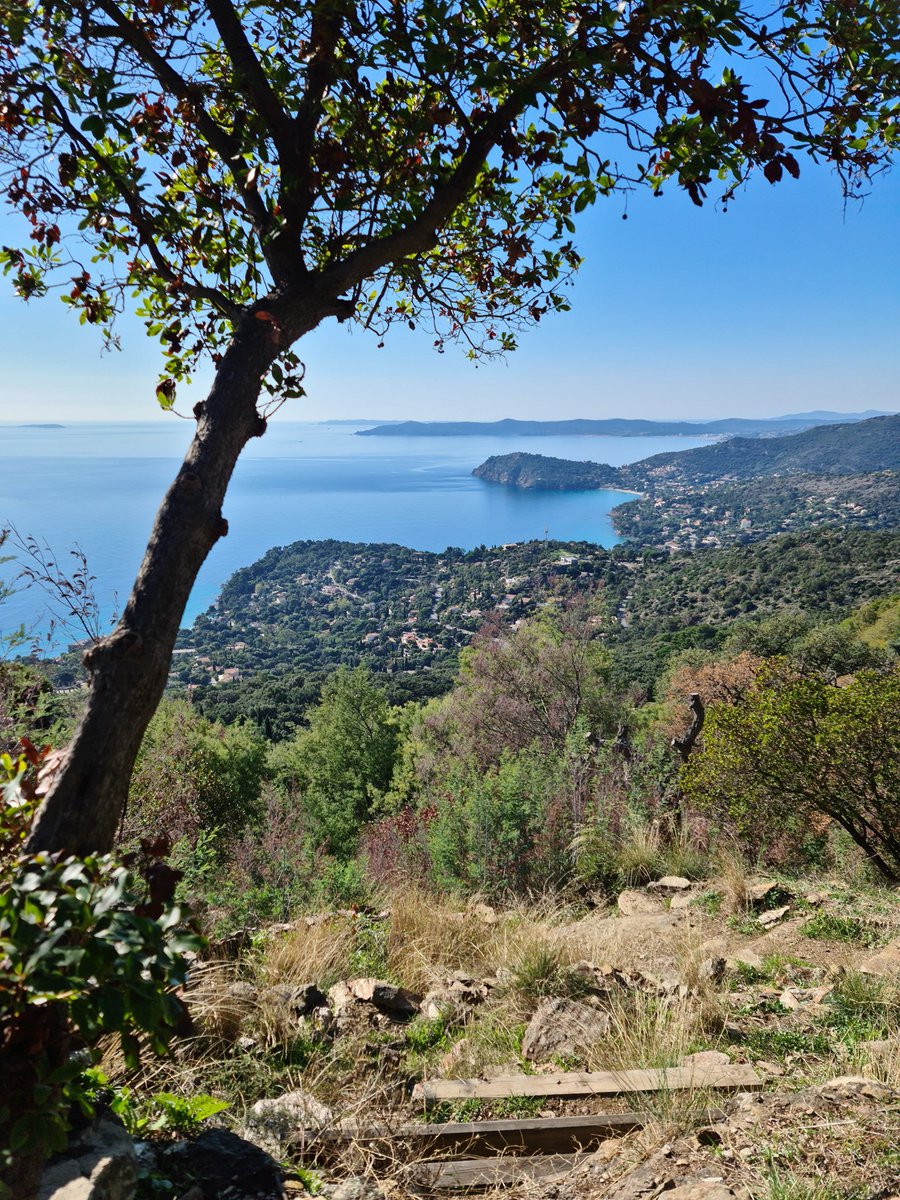 GolfeStTropez's tweet photo. Bon #weekend entre mer et collines depuis le #RayolCanadel 💚💙
📷©S.Olliver https://t.co/i8KNuGgyDU