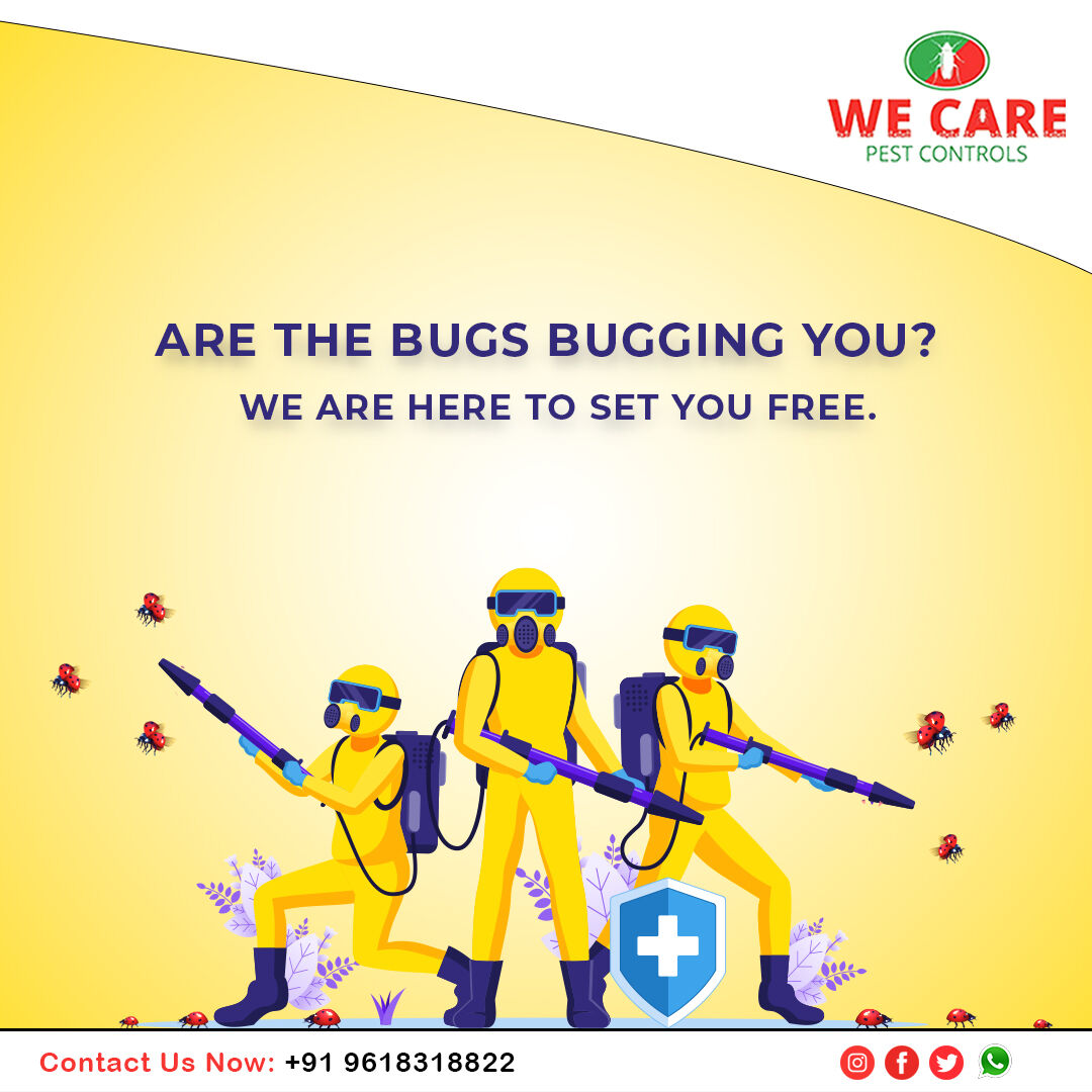 we_pest's tweet photo. Focus on what you need to. We got it all cared for you

@we_pest
@TIF_TELANGANA

#wecarepestcontrols #omicronvirus #pestcontrol #pestcontrolservices #pestcontrolservice #pestfree  #disinfection #preventivemeasures #WeLovePunjab #BravePmModi #IndiaFightsCorona #LargestVaccineDrive https://t.co/RJrve9otot