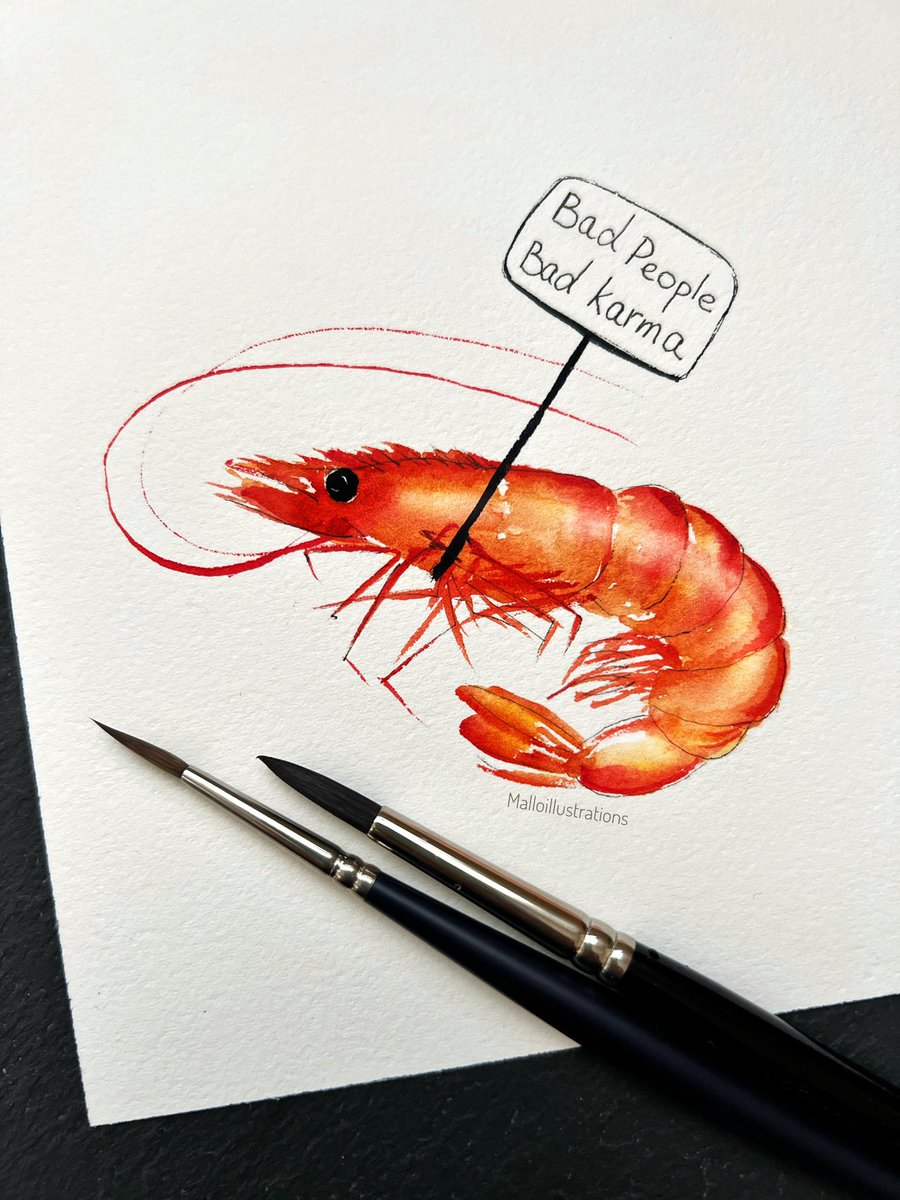 MalloryToman's tweet photo. Bad karma 🦐
#Karma #actualites 
#BRESIL 
#shrimp #crevette #toxicpeople https://t.co/Ws24WRwhMZ