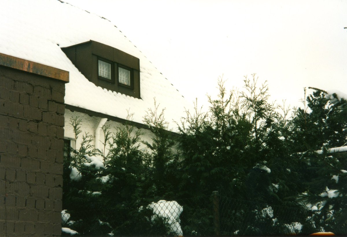 Piegas' Thuja-Hecke

24.11.99