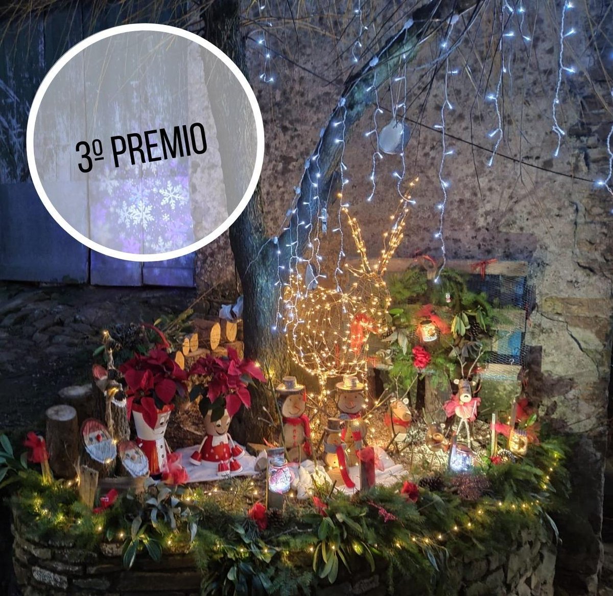 Concello de A Fonsagrada tweet media