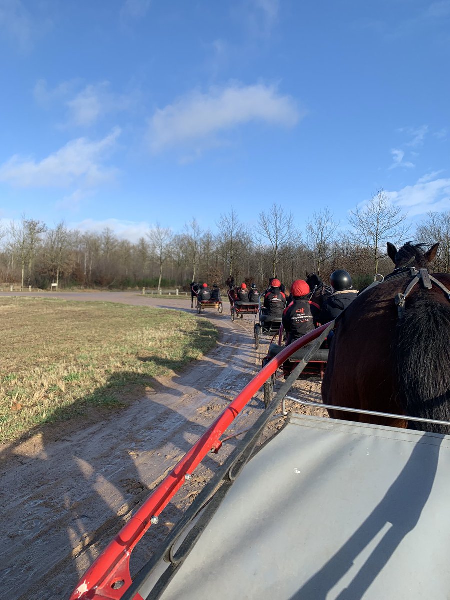 GHerrnberger's tweet image. Le codir @EcoleAFASEC  etait ravi de démarrer l’année avec les équipes et les élèves de @MuseeduTrot  #grosbois  pour son baptême de sulky ! Échanger sur le terrain pour #attirer #retenir  #developper au service de l’#emploi et de la #formation dans les courses @LeTrot