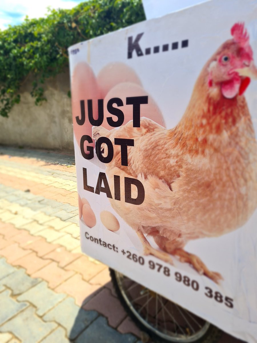 lwipa_chilufya's tweet photo. Eggs for sale! K49

Support us when you see us do a ride by... 

Thank you https://t.co/zg7FmI5Mit