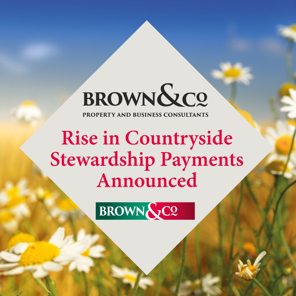 Brownandcorural's tweet photo. Following George Eustice’s speech at the Oxford farming conference, he has announced that payments for CSS on average are going up 20% and this will be applicable for those already in agreements.

The full list of payment rates is available here: https://t.co/U5Cn4x1Ffw https://t.co/DrwzidAs9k