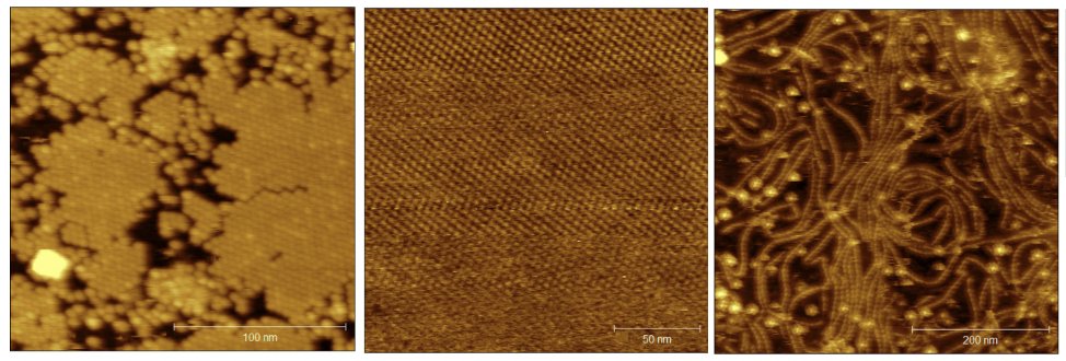 Please reach out to us if you have some #protein chemistry and bio-#AFM experience and want to do a phd or postdoc on the application of symmetric designer proteins which assemble as 2D layers for templating/catalysis/diagnostics.