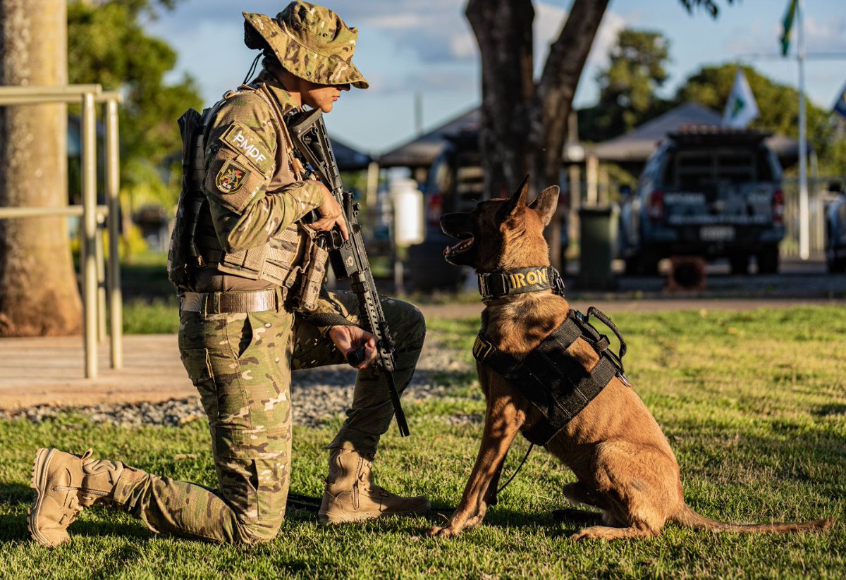pmdfoficial's tweet photo. Prontos para mais um dia de serviço? Por aqui já estamos de prontidão. Tenham todos um bom dia e um fim de semana repleto de muita paz!
Contem sempre conosco!👮♀️🐶
Foto: Paulo Jamir
#pmdf #policiamilitar #bpcaes #doguinho #dog #militar #police #nasruas #servireproteger #df https://t.co/XaqIKkKivR