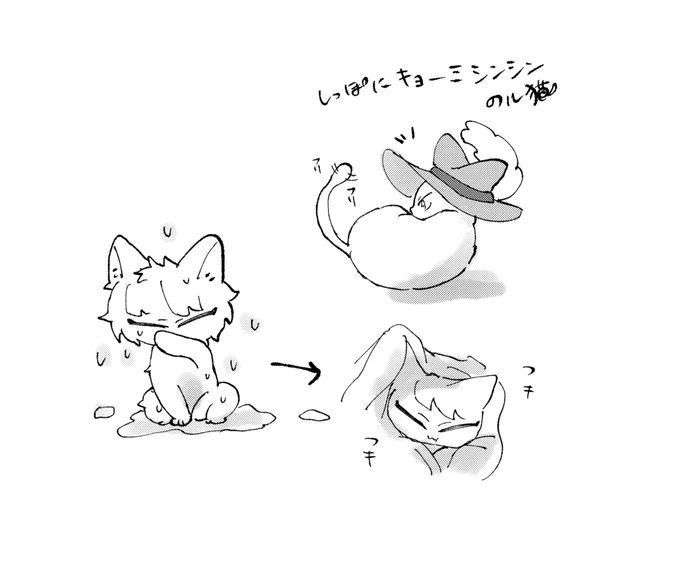濡れ猫 