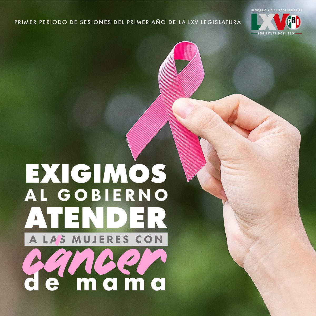 Junto a la sociedad civil organizada hemos alzado la voz por las mujeres que padecen cáncer de mama y que no han recibido la atención debida.

¡Seguiremos defendiendo las causas de las y los mexicanos!

#ElCáncerEnLaAgenda