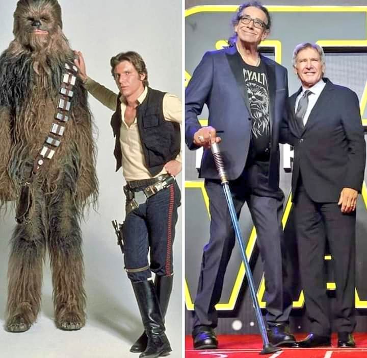 Harrison Ford (Han Solo) e Peter Mayhew (Chewbacca) https://t.co/KJCi3Txmsv