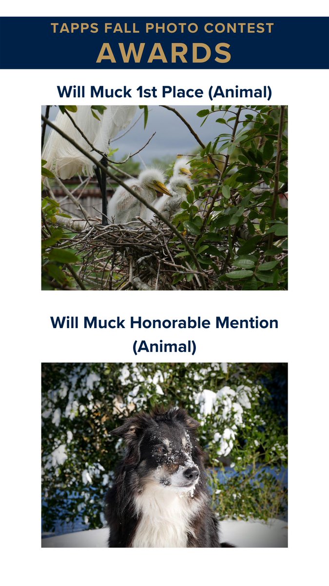 GenevaSchoolTX's tweet image. Congratulations Joshua Kupfershmid, Will Muck and Piper Pruitt for your awards at the TAPPS Fall Photo Contest!