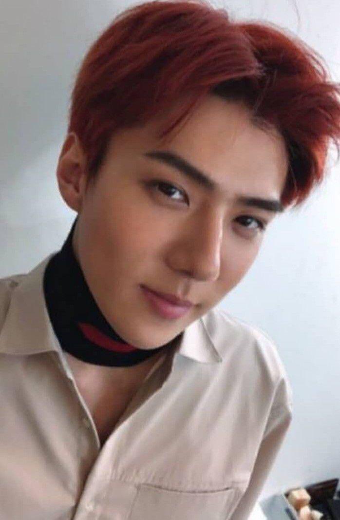 softksoos's tweet photo. i’ll live every day as if I were born for you. ♡ 

#EXOLSelcaDay https://t.co/ACWsFHm2RA