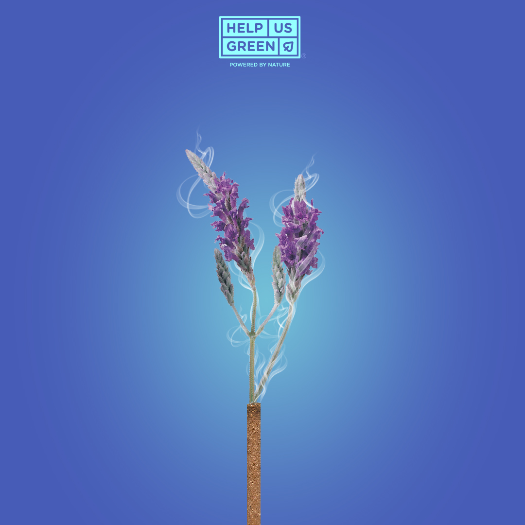 HelpUsGreen's tweet photo. Why go out when you can feel the magic of lavender at your home?
Enjoy the refreshing scent of Lavender in HelpUsGreen's Lavender Dhoop Sticks, and say goodbye to stress and anxiety. https://t.co/nhWwsckqO2