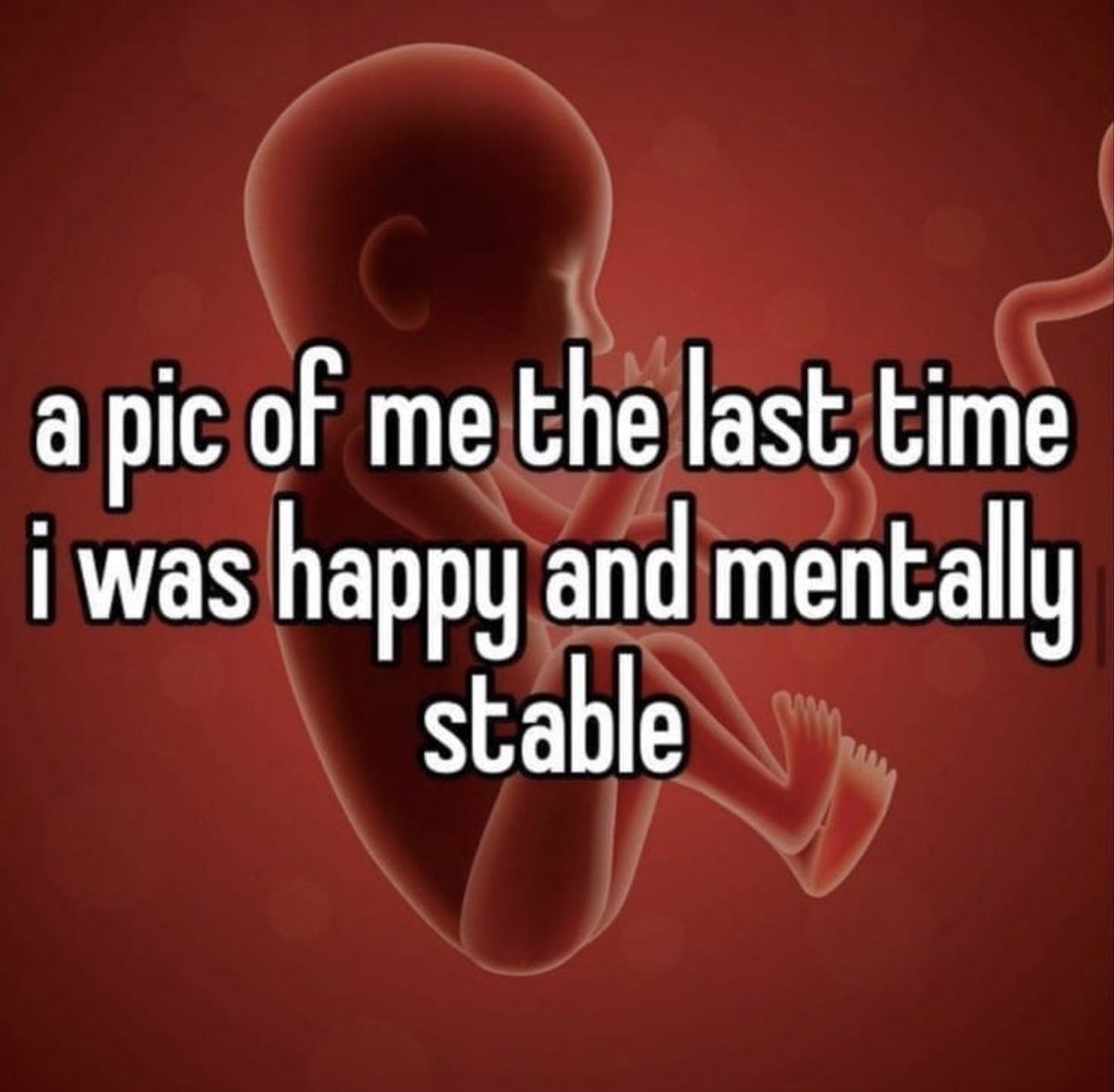 ing3stibile's tweet image. lmao