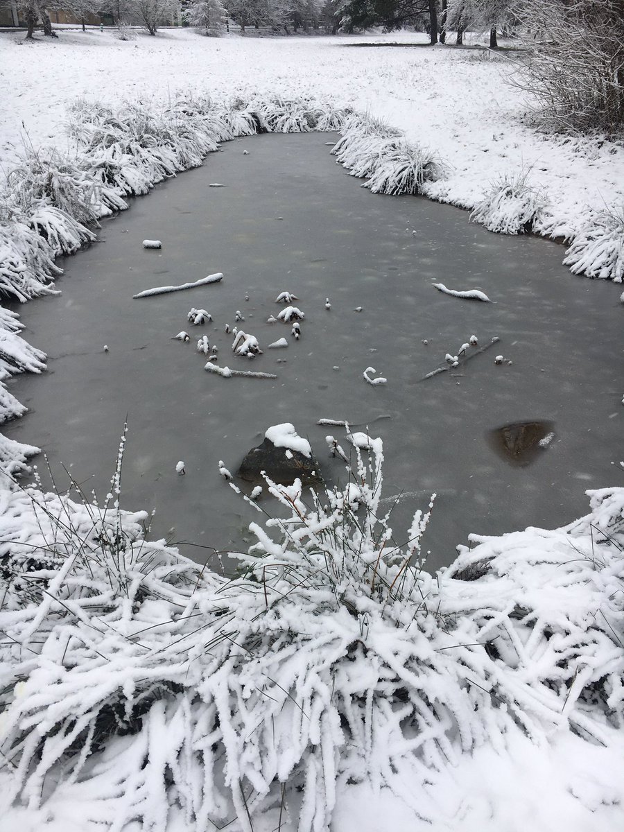 jancapfx's tweet photo. Winter 2020/21 📍Prokop Valley, Prague, CR #CzechRepublic #WINTER #WinterWonderland https://t.co/AuJwwUDWJp