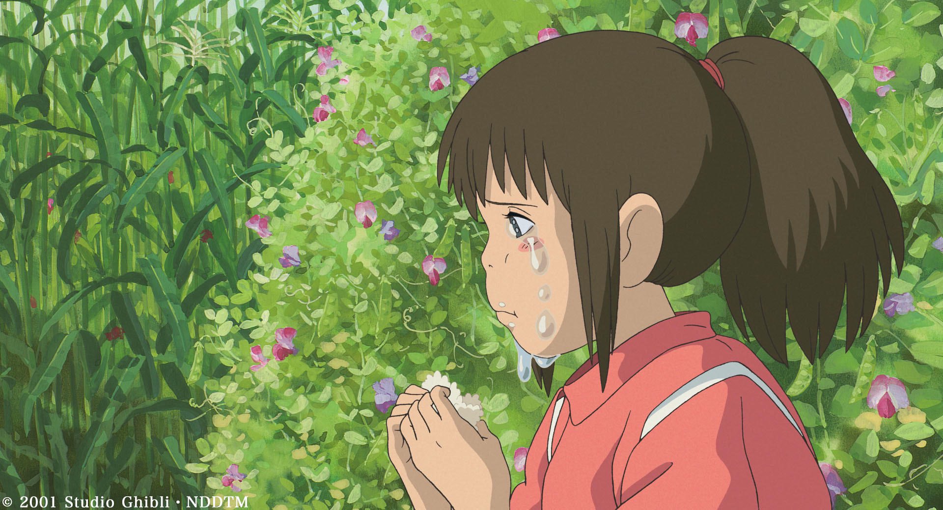 アンク 金曜ロードショー公式 千尋 の元気が出るように まじないをかけて作ったんだ とハクが語るこのおにぎり 両親が貪り食う屋台のごちそうとはどこか好対照ですね 油屋で働くことになって以来 ずっと気を張っていた 千尋も思わず涙を見せる感動的