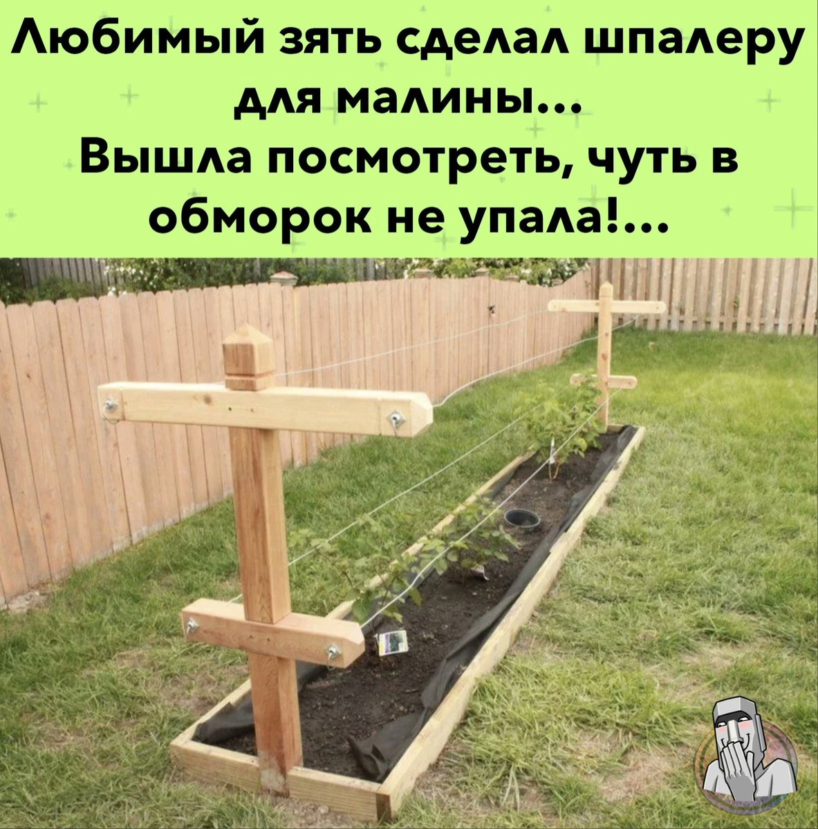 Малина в коробах