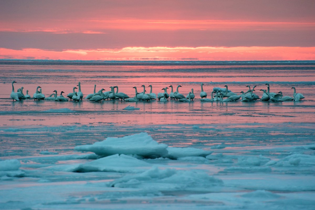 Have an ice day ❄️

📷 J.T. Zalusky