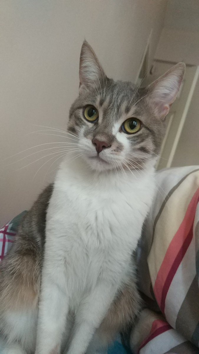 Berke ve Perit'i aldık, naci seni de göndereceğiz.
#BerkeyePeriteÖzgürlük