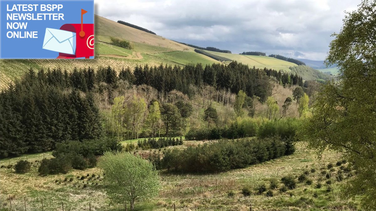 BS_PP's tweet photo. 📢Our Winter newsletter 2022 is out now online! 
Catch-up on reports like Liam Morton's Masters @HarperAdamsUni where he studied #treehealth at places like Glentrees, Scotland with @Forest_Research.
#newsletter #plantpathology #planthealth #plantdisease 
https://t.co/FPcr8hcmV7 https://t.co/j02IjdU29C