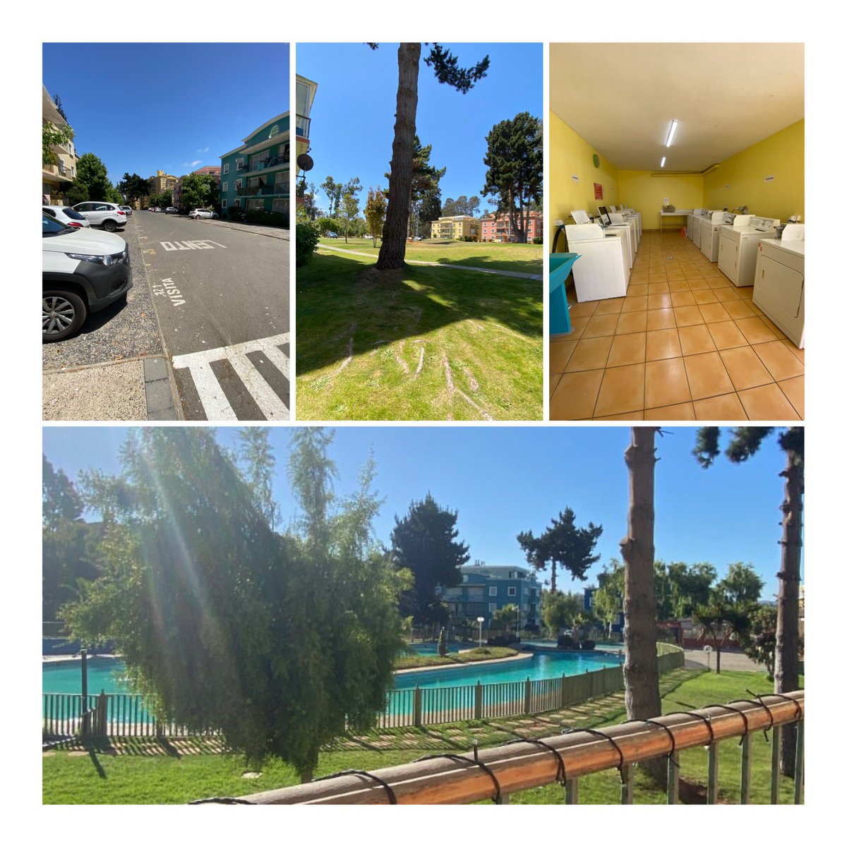 Indig0m00nchild's tweet photo. Se arrienda hermoso depto por días.
Ubicado en Mirasol, Algarrobo, a 10 min. caminando de la playa Mirasol y Algarrobo Norte.
3 dormitorios, 2 baños, cocina equipada.
Acceso a quincho, piscina, lavandería, estacionamiento.
DM para más información y fotos.
RT por favor 🥰 https://t.co/GZU8n6b9zo