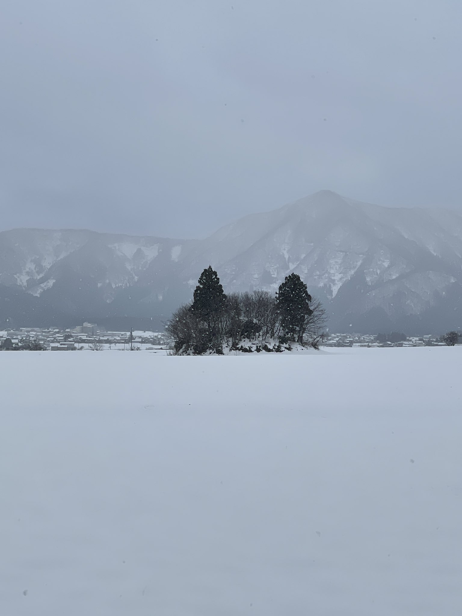 堀江貴文福井講演会 中の人 2週連続ジブリ映画が放映されるとのことで とある場所を訪れてみました 福井県大野市にある 通称トトロと呼ばれる山伏岩です 夏に見た緑豊かな姿とは違いましたが 白い雪に浮かび上がったその姿は 印象的でした 福井 大野