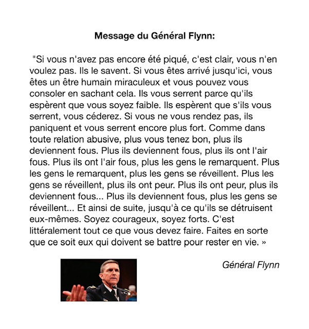 danny29597665's tweet photo. #manifs8janvier #JeNeSuisPlusUnCitoyen 
Le Général Flynn a un message pour vous : https://t.co/66puhSdj69