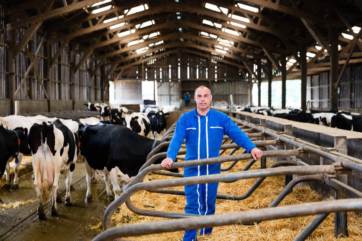 [#Ceuxquifontlelait]
Bon appétit aux vaches de la ferme pilote DEKALB des Côtes d’Armor !🐄🌽🥛
🍽️Au menu dès cette semaine : 2 silos de maïs, pour mesurer les performances laitières de la nouvelle génétique #SILOEXTRA
➡️Car c’est bien le troupeau qui a le dernier mot !