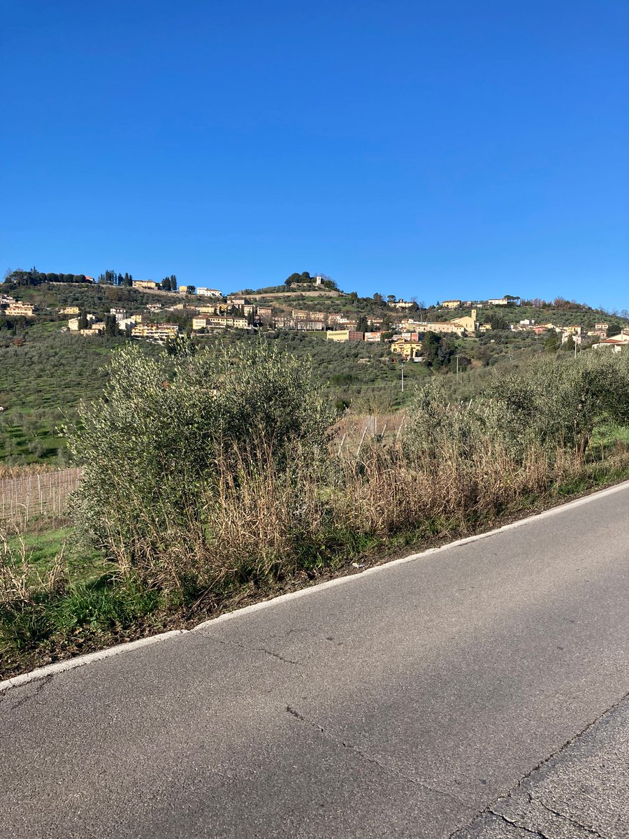 pippograd's tweet photo. Bellissima giornata per pedalare, fossero state d'accordo anche le gambe sarebbe stata perfetta! 🤣🤣
#iopedaloqui #carmignano #pinone
#montelupo #Firenze #Toscana
#ciclismo #cycling https://t.co/Gp8ii6mg41