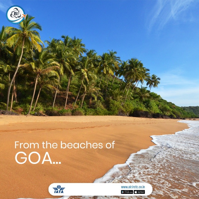 IRCTCofficial's tweet photo. To plan a #safe & seamless #holiday experience, #book #flight #tickets at the lowest convenience fee of 50 on #IRCTCAir app. You can also visit https://t.co/fLKvfBulvZ to #avail more such #booking #benefits #FlyAt50 #IRCTC #air #StaySafe π·#travel #offers #booking #deals π§³βοΈ