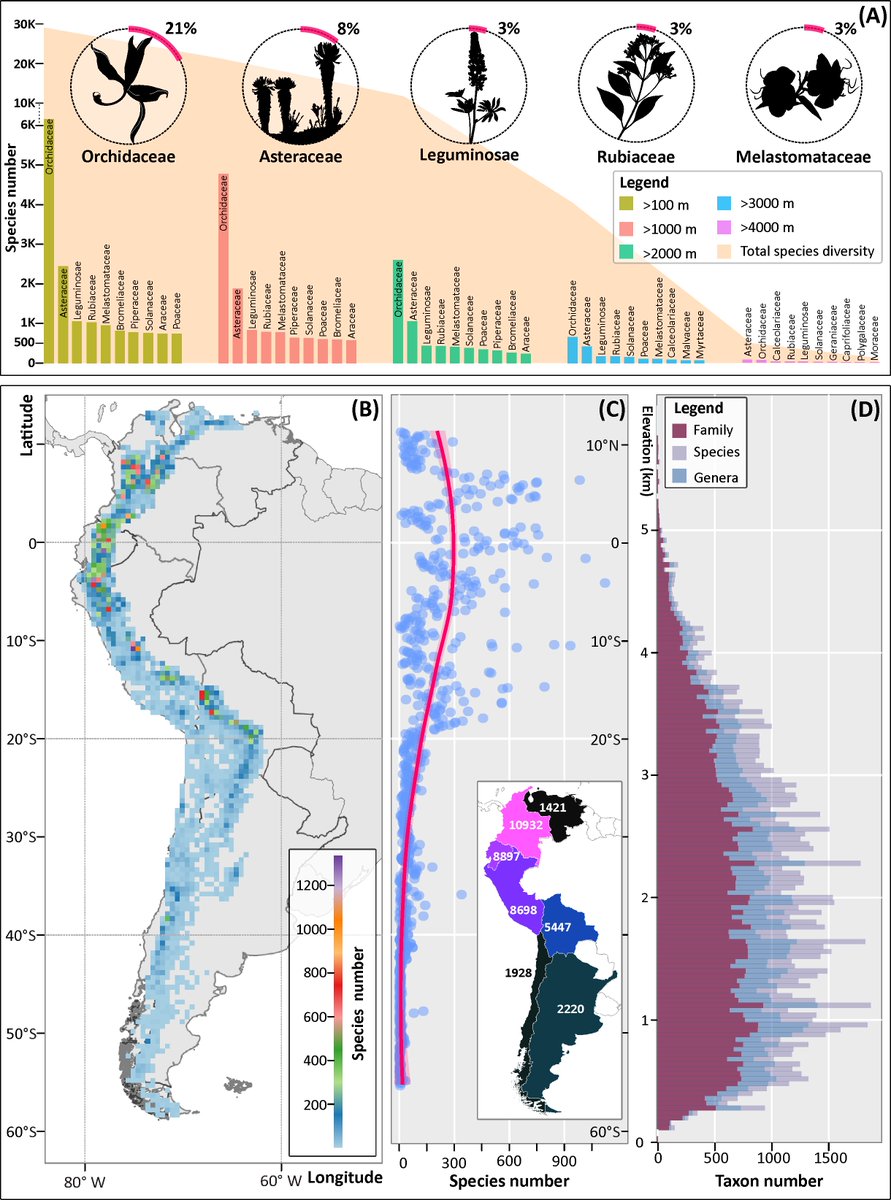 Oscar Alejandro Pérez-Escobar (@latinorchidbot) on Twitter photo Caramba! What a way to start the year 🙃🦋 Pleased to share our latest review on my fav plant biodiv. hotspot, the Andes! A fav coop involving a stellar team <a href="/Chomicki_G/">Guillaume Chomicki</a> <a href="/toby_pennington/">Toby Pennington</a> <a href="/BiodivRsity/">Alexander Zizka</a> <a href="/antonelli_lab/">Antonelli Lab</a> <a href="/CarinaHoorn/">Carina Hoorn</a> @BoschmanLydian + more!🌿⛰️ sciencedirect.com/science/articl… Caramba! What a way to start the year 🙃🦋 Pleased to share our latest review on my fav plant biodiv. hotspot, the Andes! A fav coop involving a stellar team <a href="/Chomicki_G/">Guillaume Chomicki</a> <a href="/toby_pennington/">Toby Pennington</a> <a href="/BiodivRsity/">Alexander Zizka</a> <a href="/antonelli_lab/">Antonelli Lab</a> <a href="/CarinaHoorn/">Carina Hoorn</a> @BoschmanLydian + more!🌿⛰️ sciencedirect.com/science/articl…