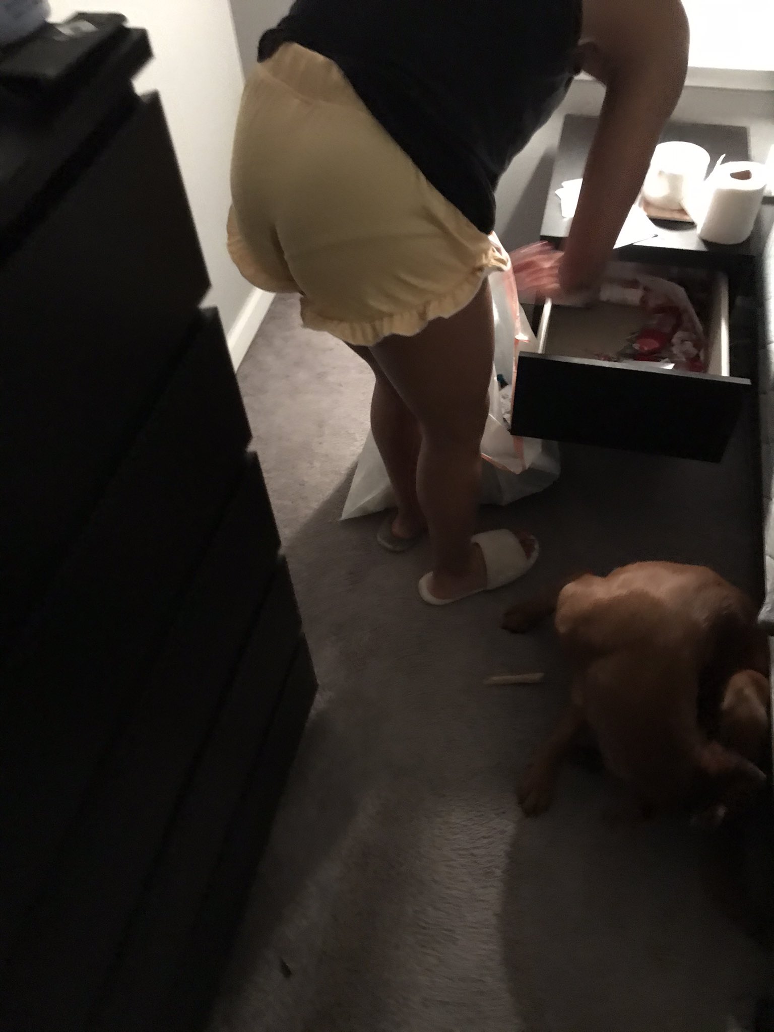 SeeThrough21 on X: Visible panty lines in tight shorts  t.couuPs9vaJxb  X