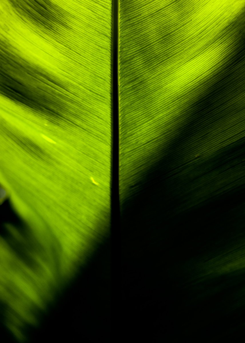 Fotofools 📸 tweet media