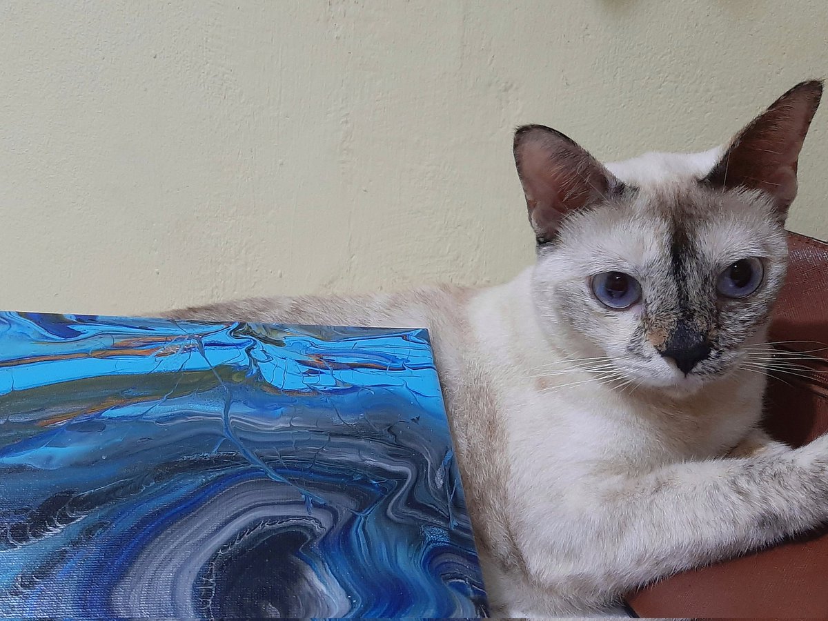 Please do support her so she can afford to buy her own food 🙄

app.pentas.io/nft/167907