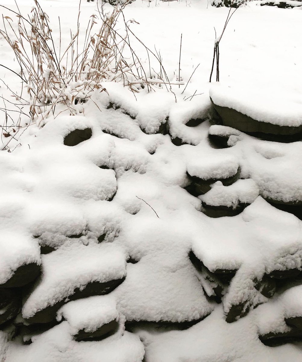 ErinLuchenbill's tweet photo. I β€οΈ Snow! #snow #westspringfieldma #WesternMass https://t.co/yQjJYabYqq