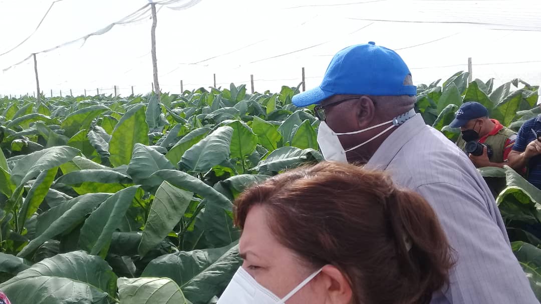 En el empeño de avanzar en las producciones agropecuarias en #SanctiSpiritus, hay que ocuparse de las comunidades y bateyes de nuestros campos, restablecer los servicios básicos y las condiciones de vida de sus pobladores. #CubaVive #NoMasBloqueo #CubaViveYRenace