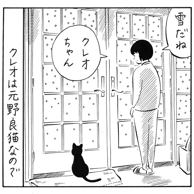 今朝はこちらも雪だったので、去年の雪の話を再掲。
https://t.co/tLcsdxzOPw

写真は今朝の、熱心に雪を見るクレオと、いい加減に見るポンズ。 