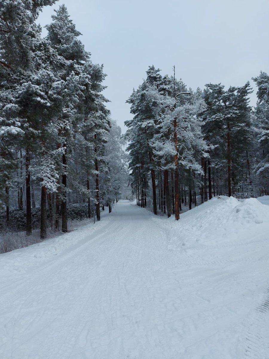 RT @hejmoomin: family friend just sent this. helsinki is looking very narnia lately https://t.co/thHwNLicFN