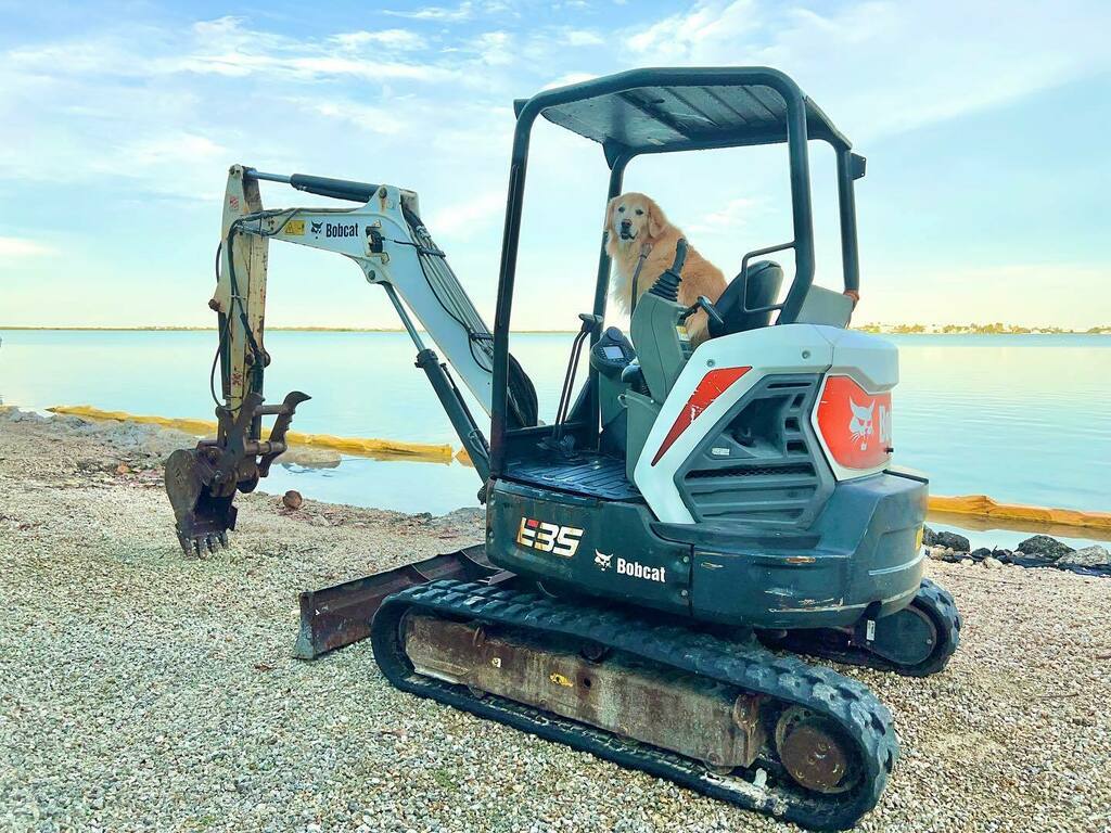 TheGoldenRatio4's tweet photo. Yes hello! I am your Heavy Equipment Operator, Vink! I can dig holes with this thing like no dog ever dreamed of! https://t.co/9uAUgcRkpM