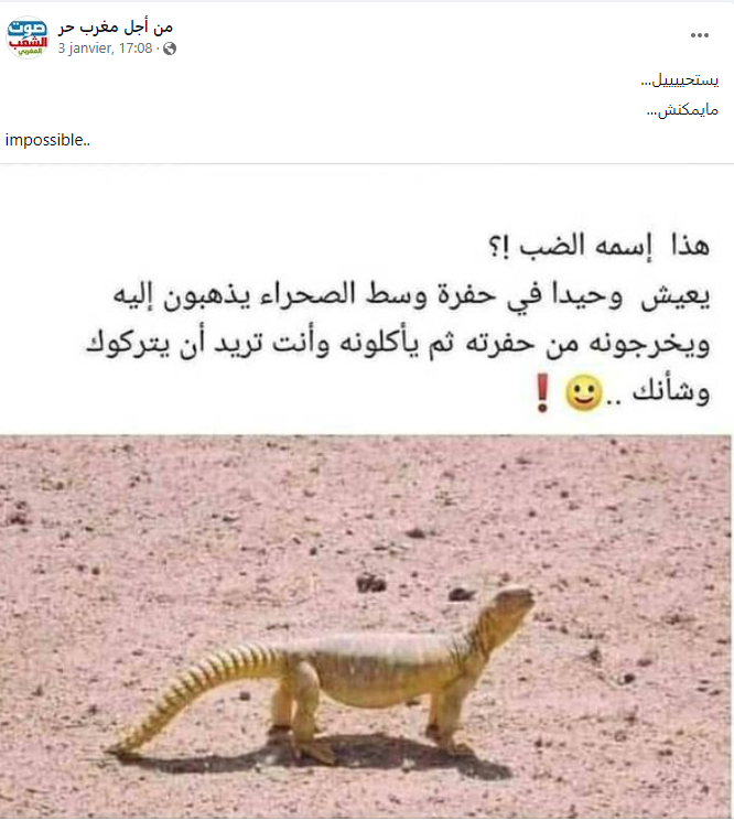 Morocco is the lion of Africa (@afriqueafro) on Twitter photo 