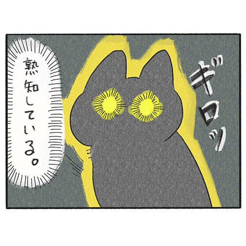 【漫画】猫が繰り出す"人間を動きを止める術"とは…… どの体勢でも仕留めてくる愛猫に飼い主「天才かと」 https://t.co/Mz9AibzoOT @itm_nlabより 