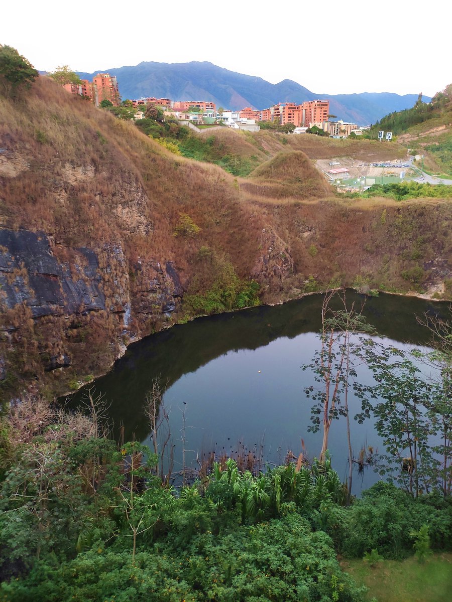 Al sureste de #Caracas tenemos este lago maravilloso lleno de biodiversidad. Ayer descubrimos un dormidero de Ibises Cara Roja (unos 60 individuos), dos cotúas A. anhinga y un Águila Pescadora, además de contar un total de 60 especies de aves. Un lugar que debe ser protegido.