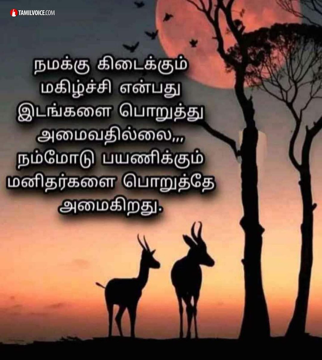 BestTamilQuotes's tweet image. 